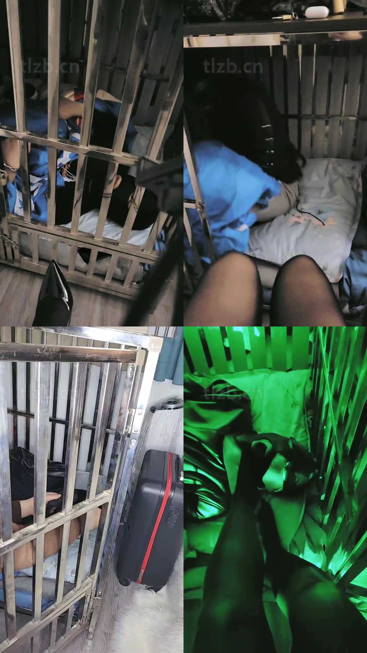 【七色槿】囚禁狗笼给主人发泄