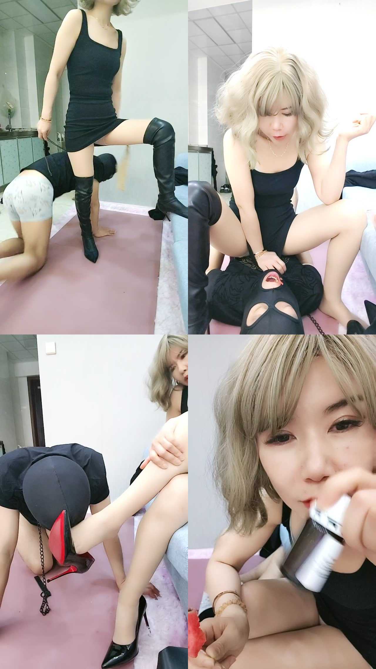 【合肥S维维】人形犬化