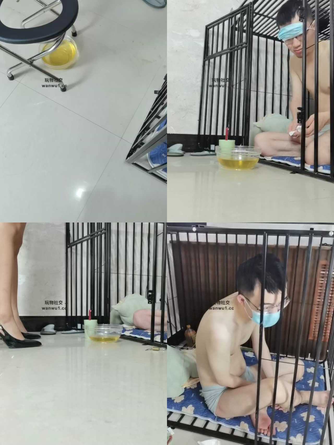 【桃桃樱】囚禁狗笼赏赐圣水