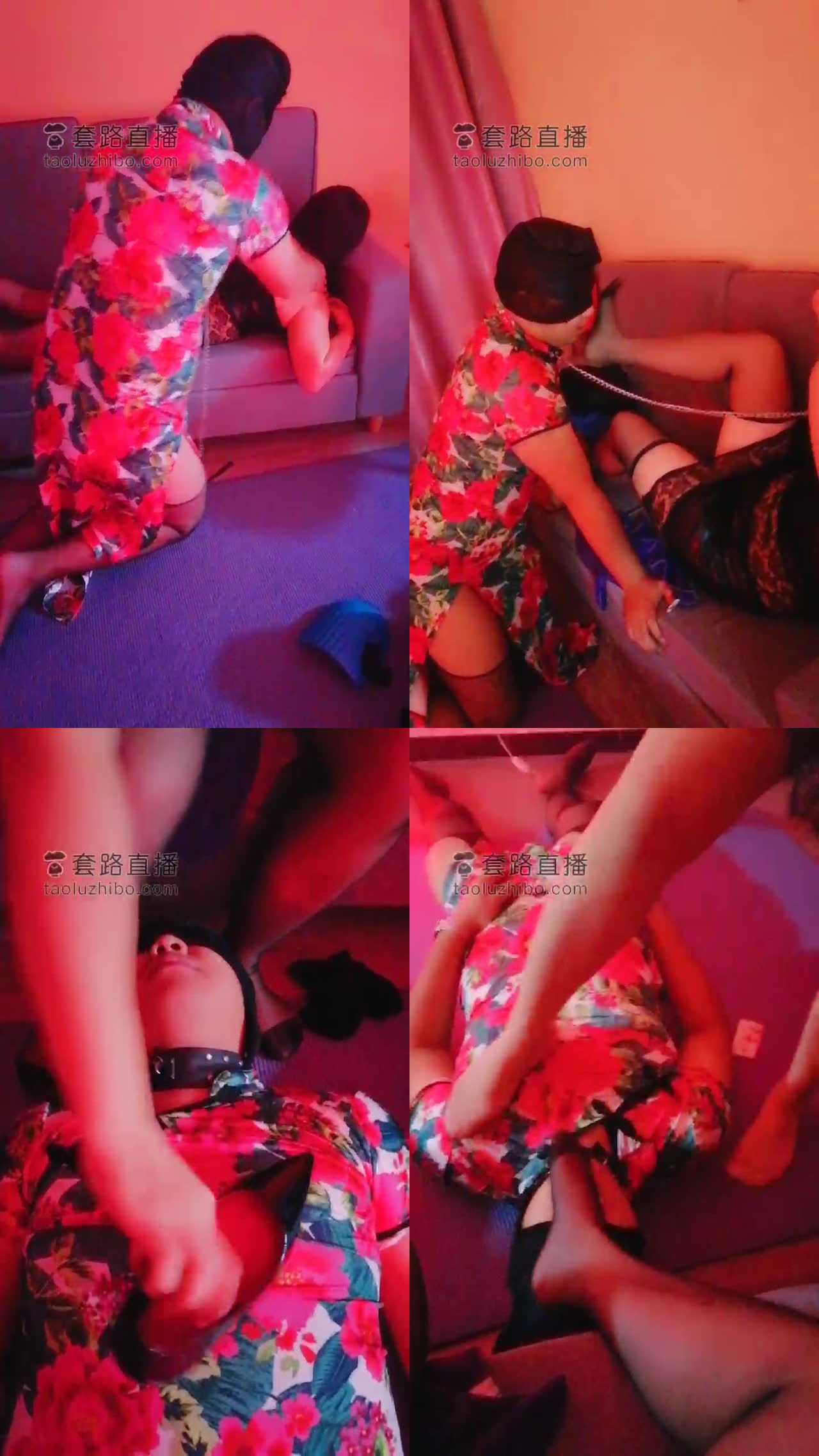 【丹主母狗】母狗犯贱伺候