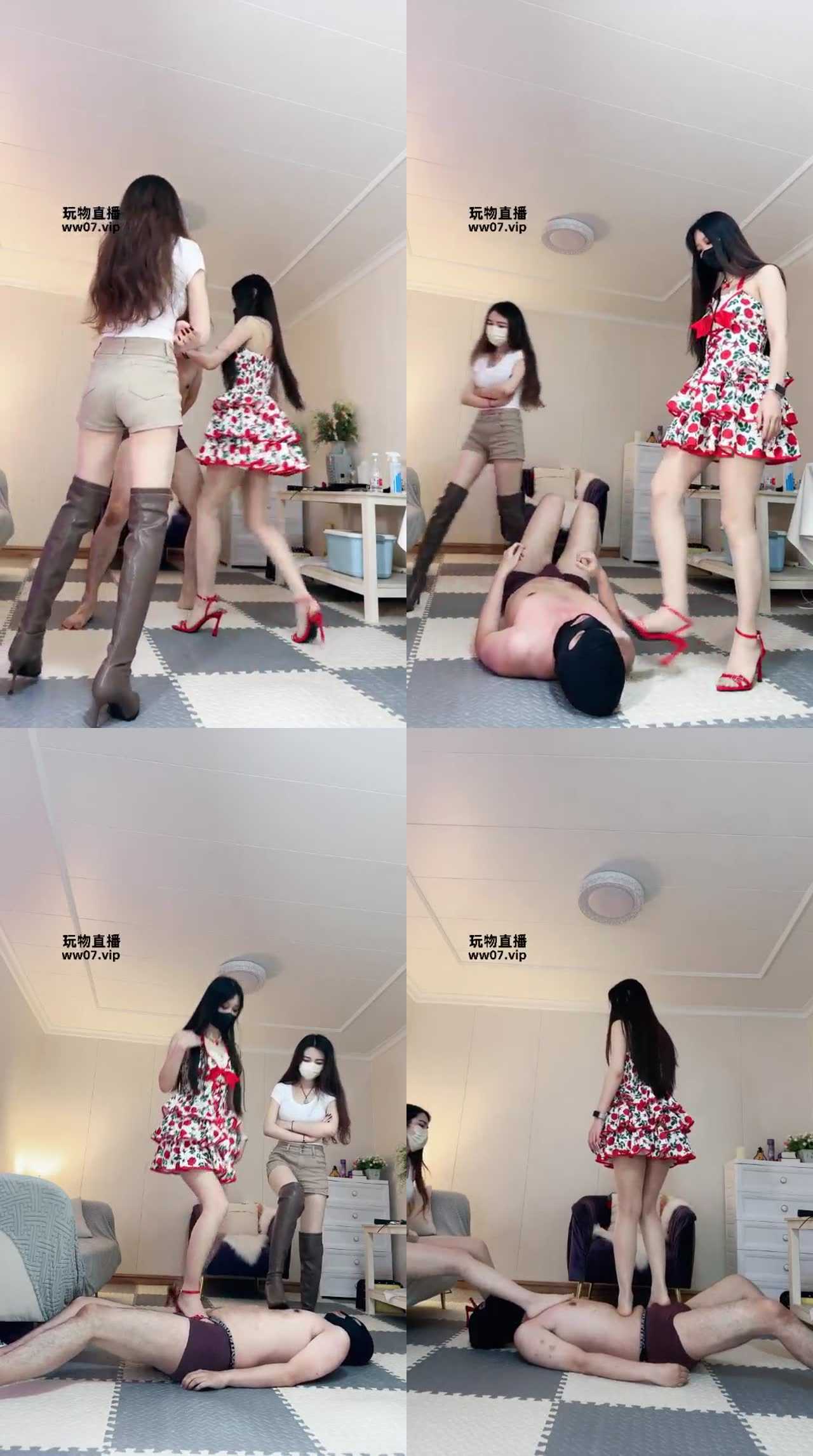 【猫神大人】双S的宠物