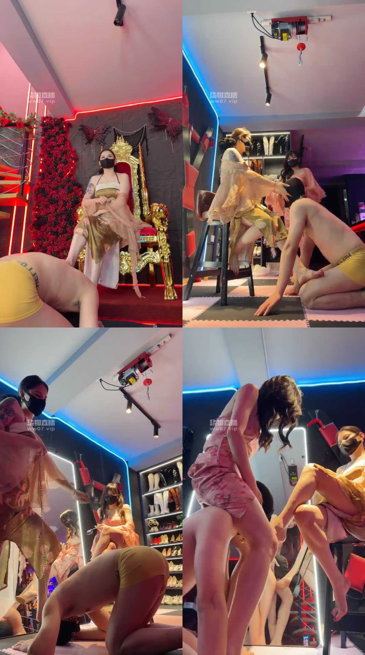 【静怡】开发新狗