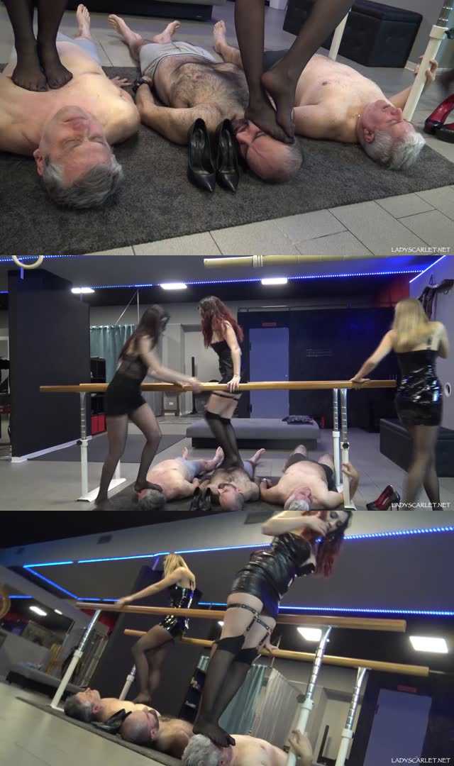 【欧美女王】Scarlet Gabriella和Victoria三位极品女神臭丝袜脚群踩三条贱狗！